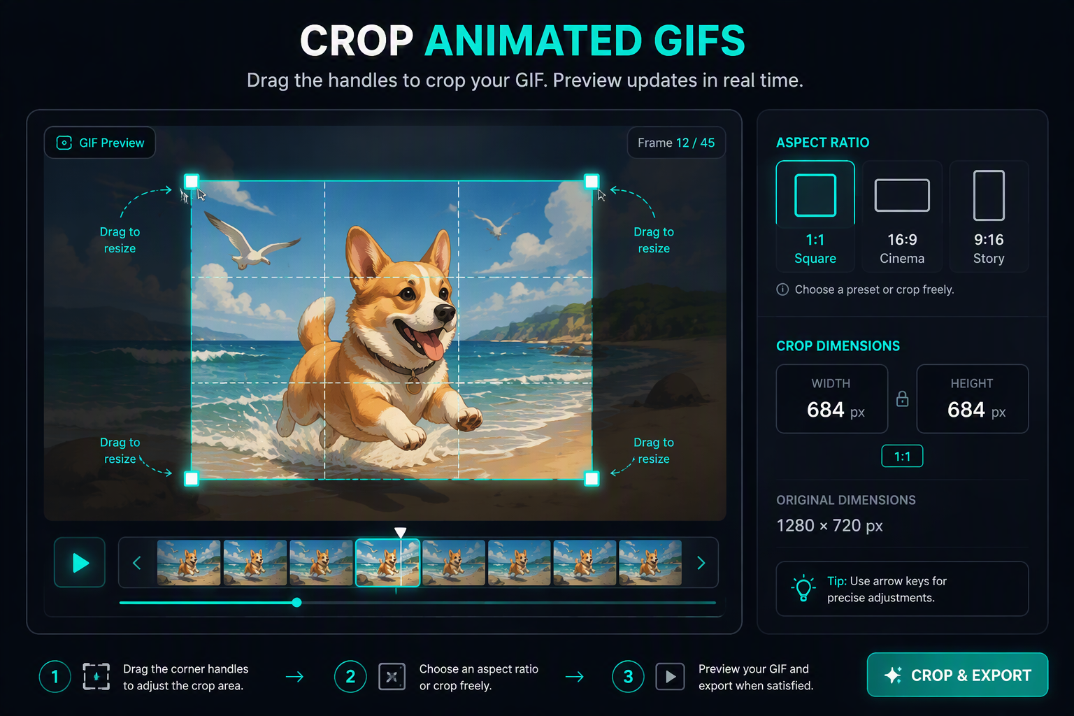 Interactive GIF cropping tool interface showing aspect ratio bounding box controls for 1:1, 16:9, and 9:16 presets